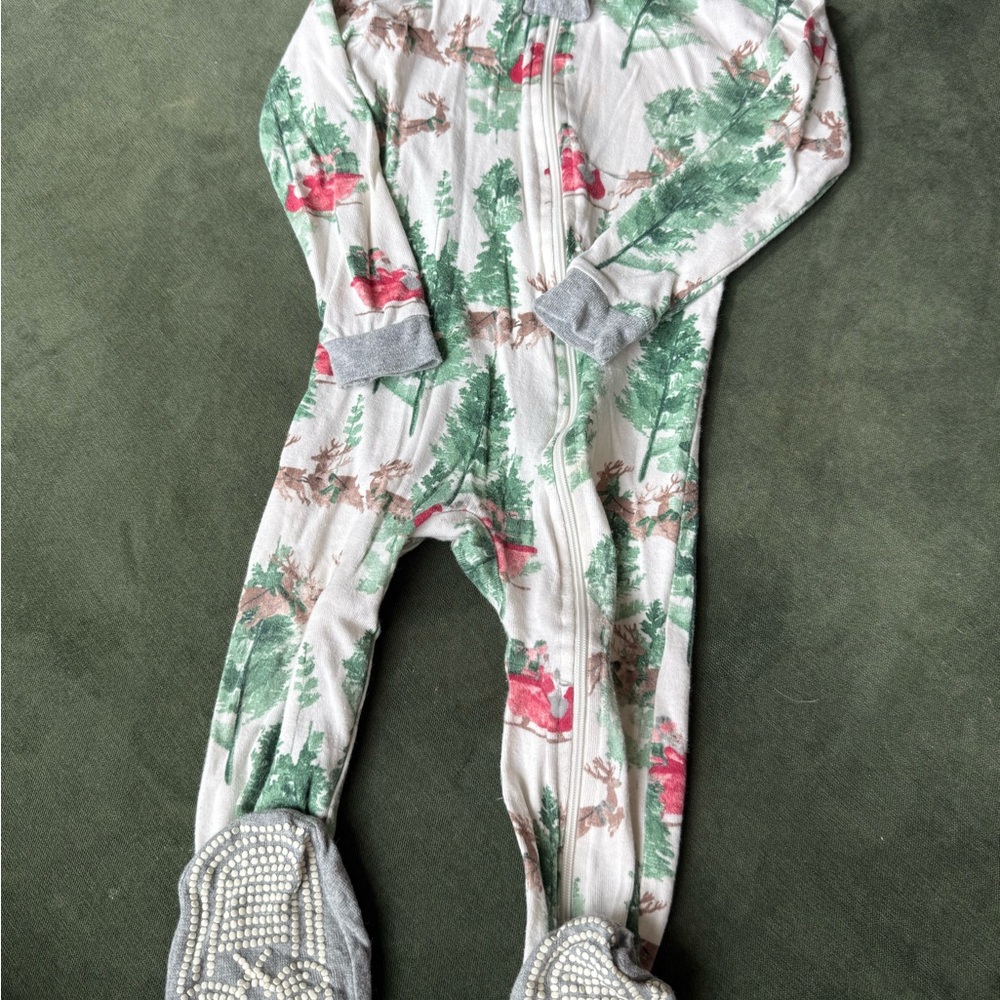 Burt's Bees Baby Present Delivery Christmas Holiday Pajamas - 18M